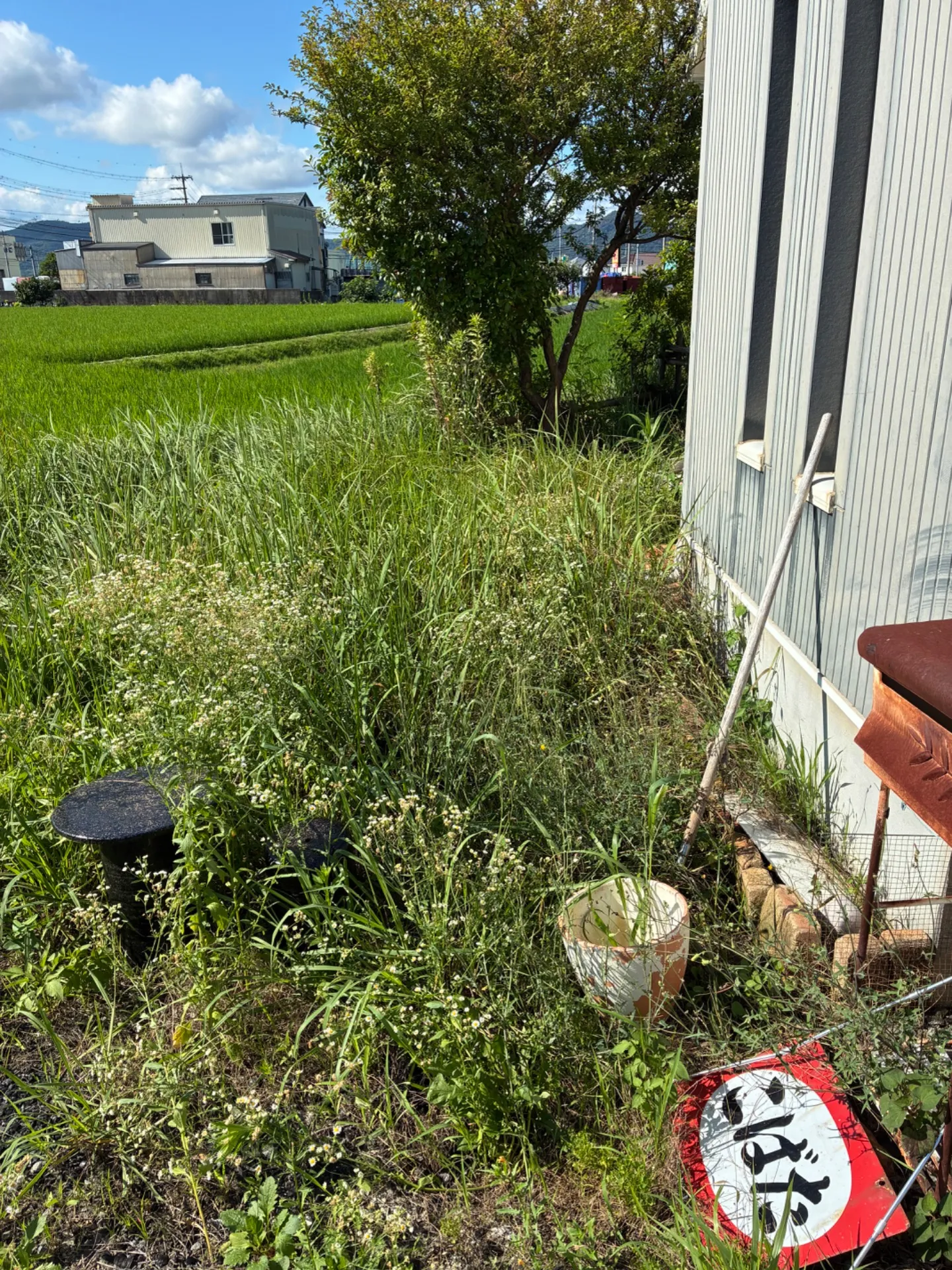 和歌山市内の家の庭の草刈り・処分